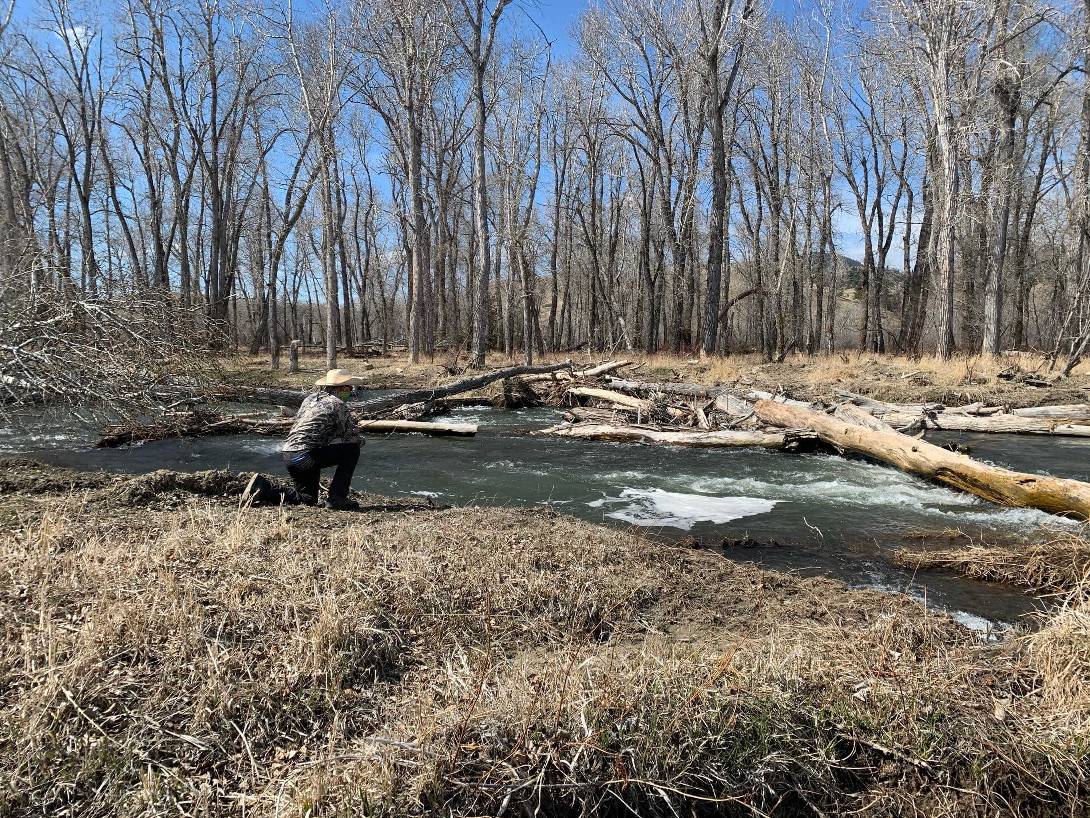 The Clark Fork
